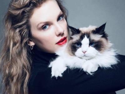 Conheça os filhos gatos de Taylor Swift