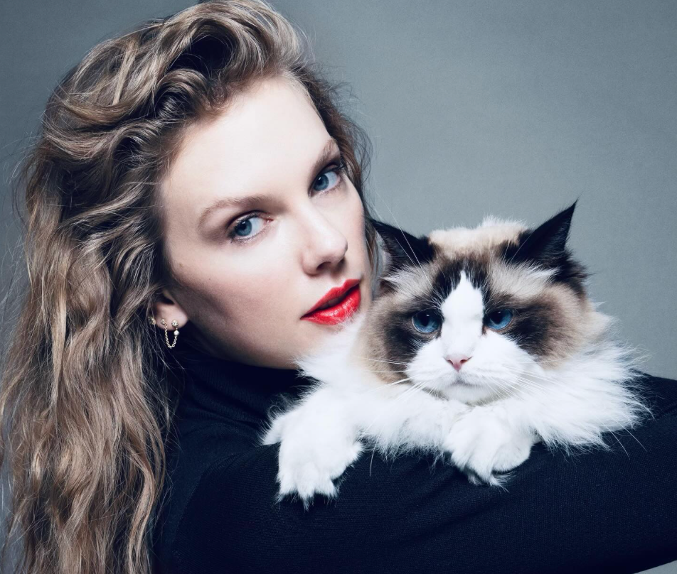 «Mulher solteira sem filhos e com gatos»: Taylor Swift apoia Kamala Harris